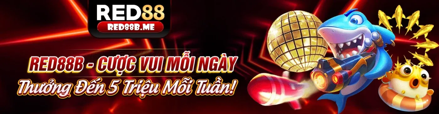 Giao diện cá cược an toàn của tin1xbetvi